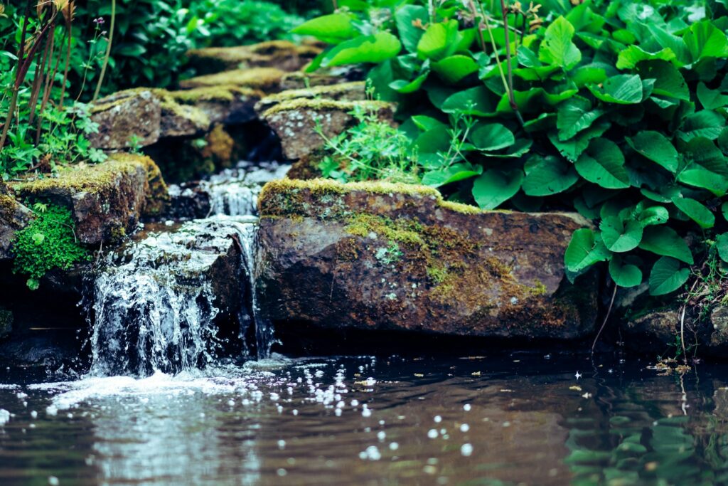 chute d'eau dans jardin